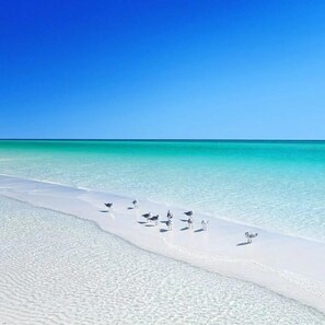 Beach nearby - Pet Friendly private beach entry heated pool tenni (Miramar Beach)