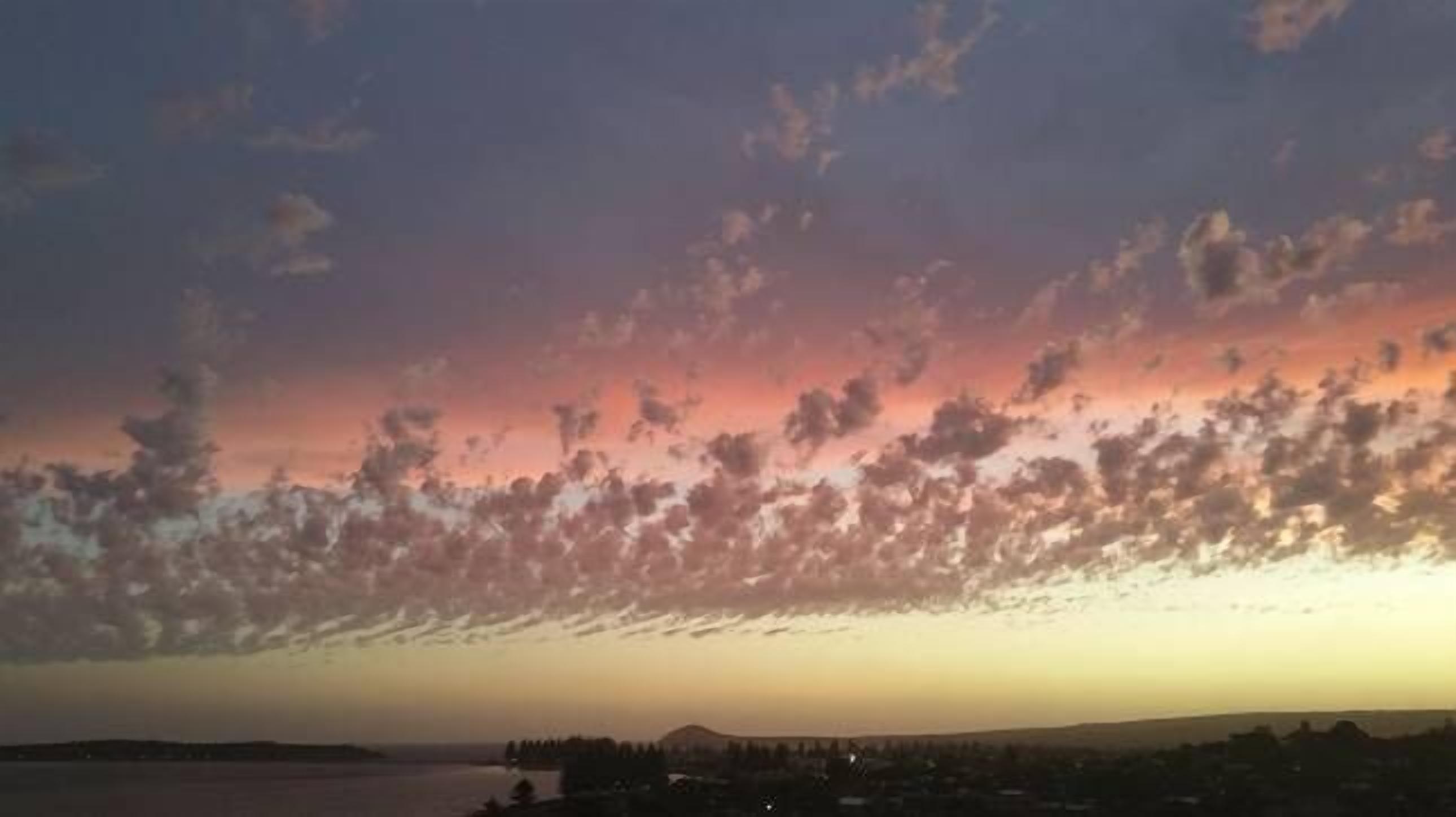 Bluffview Lookout at Victor - see whales! Free WIFI — image 7