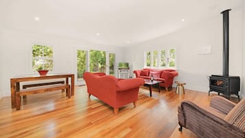 Smart TV, fireplace, Netflix, DVD player