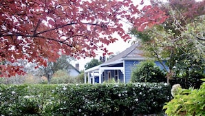 A blue house with a white porch, surrounded by dense foliage and a hedge. - Poet's Cottage 1912 Clifftop Walks, Fire, Spa Bath (Wentworth Falls)