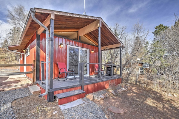 テラス / パティオ