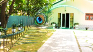 Unclassified image, 2 of 44, button - Shaa Lodge (Thissamaharama)