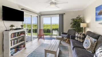 Flat-screen TV, Netflix, DVD player, streaming services