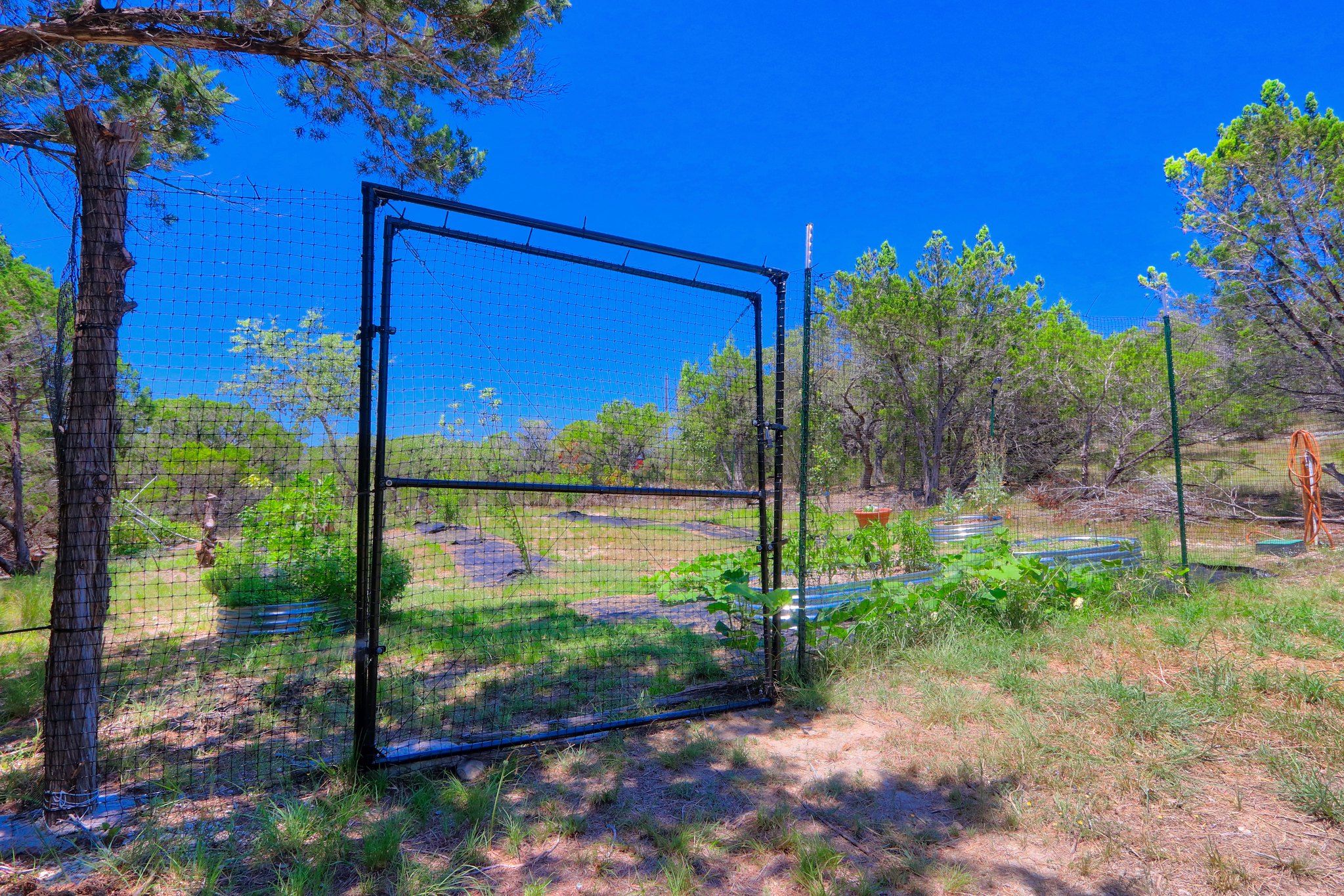 A fenced area with a gate, surrounded by trees and greenery.
