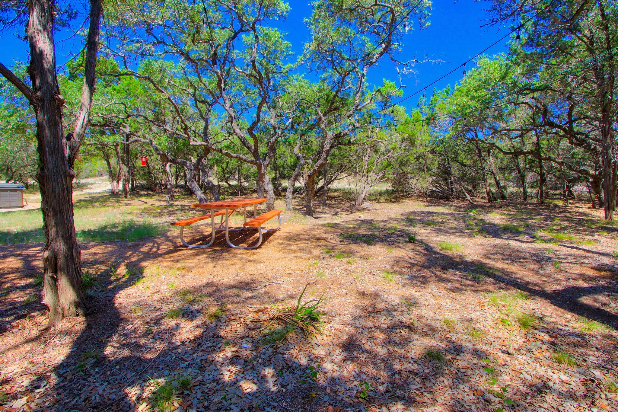 A picnic table in a wooded area with trees and a clear sky.