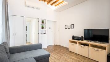 Smart TV, DVD player, books, music library