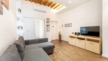 Smart TV, DVD player, books, music library