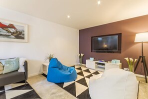 Télévision, cheminée, lecteur de DVD