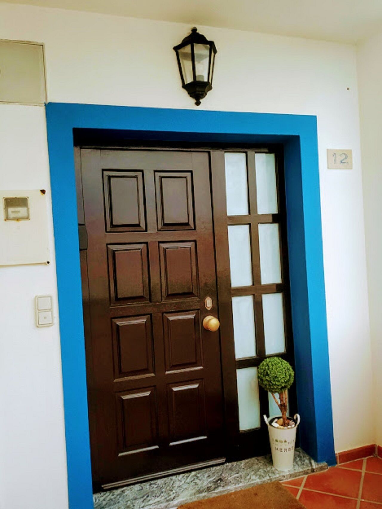 A brown door with a blue frame and a small potted plant beside it.