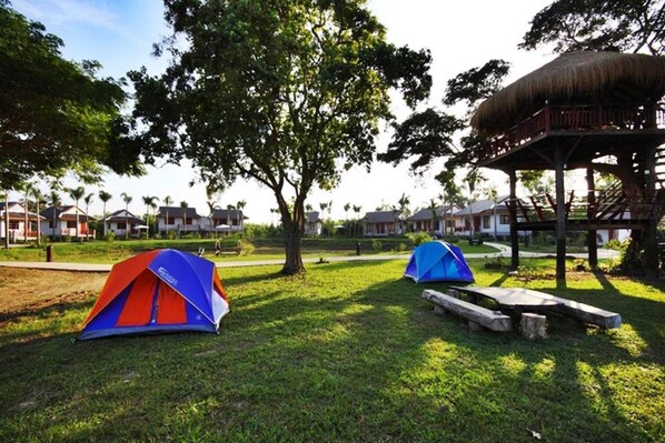 Property grounds - Rai Lam Poo Farm and Camping Resort (Nakhon Sawan)
