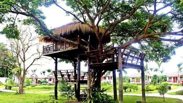Property grounds - Rai Lam Poo Farm and Camping Resort (Nakhon Sawan)