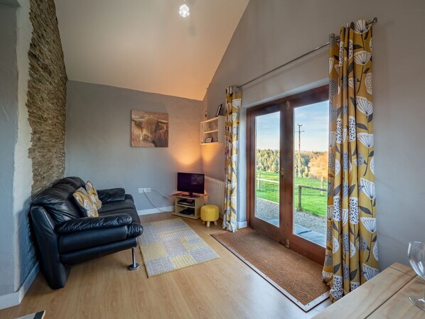 Televisión, reproductor de DVD, tenis de mesa y libros 