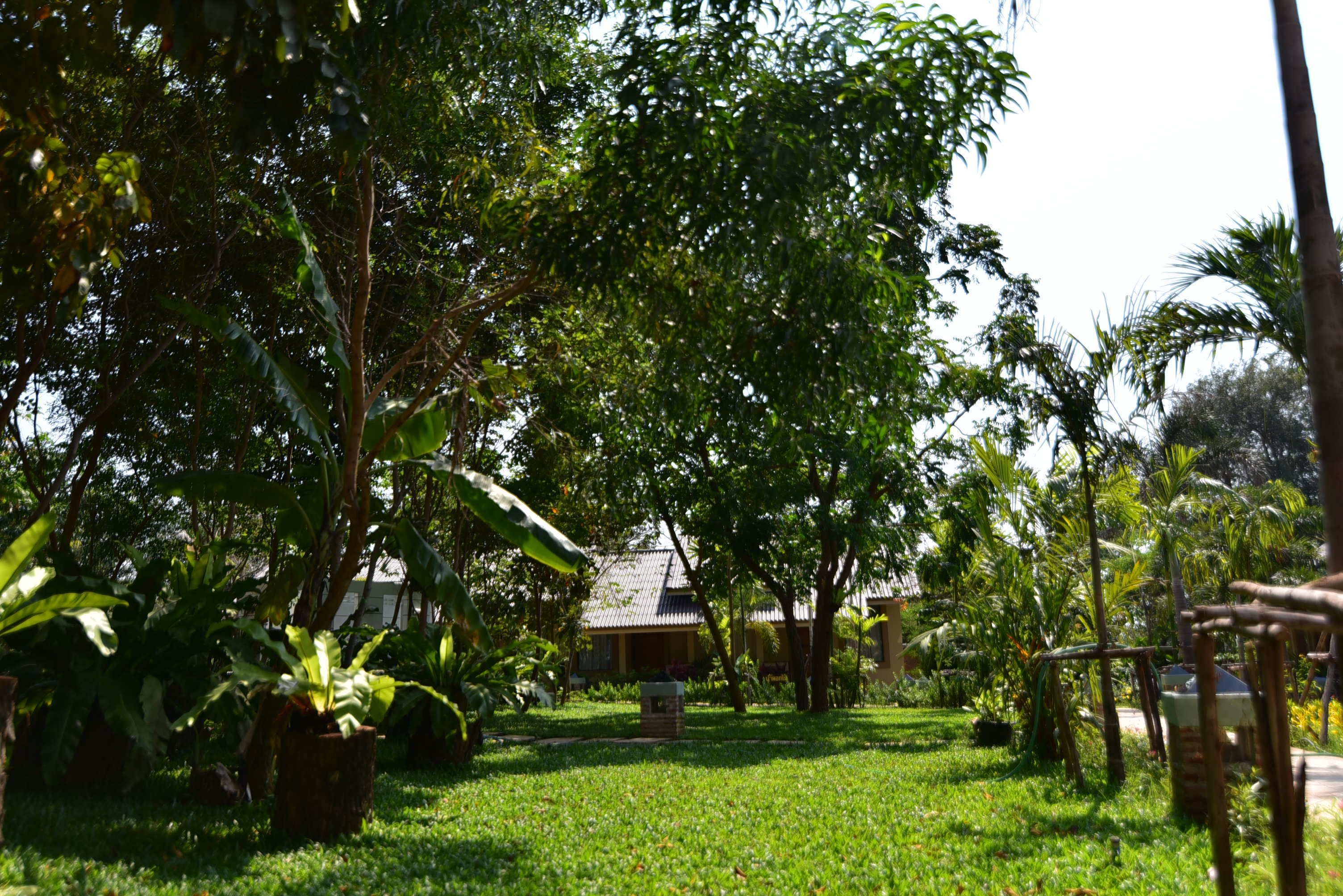 Un rigoglioso giardino con diverse piante e un edificio con tetto in tegole.