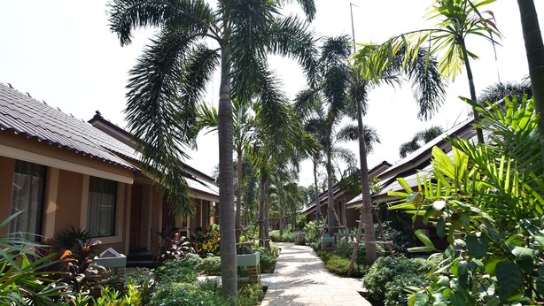 A pathway lined with palm trees and tropical plants, leading to a row of traditional-style buildings with tiled roofs. - Mamaungpaa Hillside Resort (Takhli)