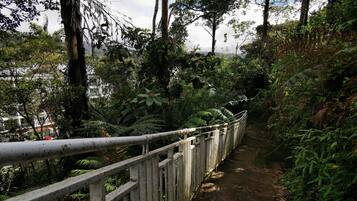 A concrete pathway with a metal railing, surrounded by dense foliage and trees.