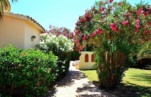 A pathway leading to a building with a yellow facade and red accents, surrounded by lush greenery and flowering plants.