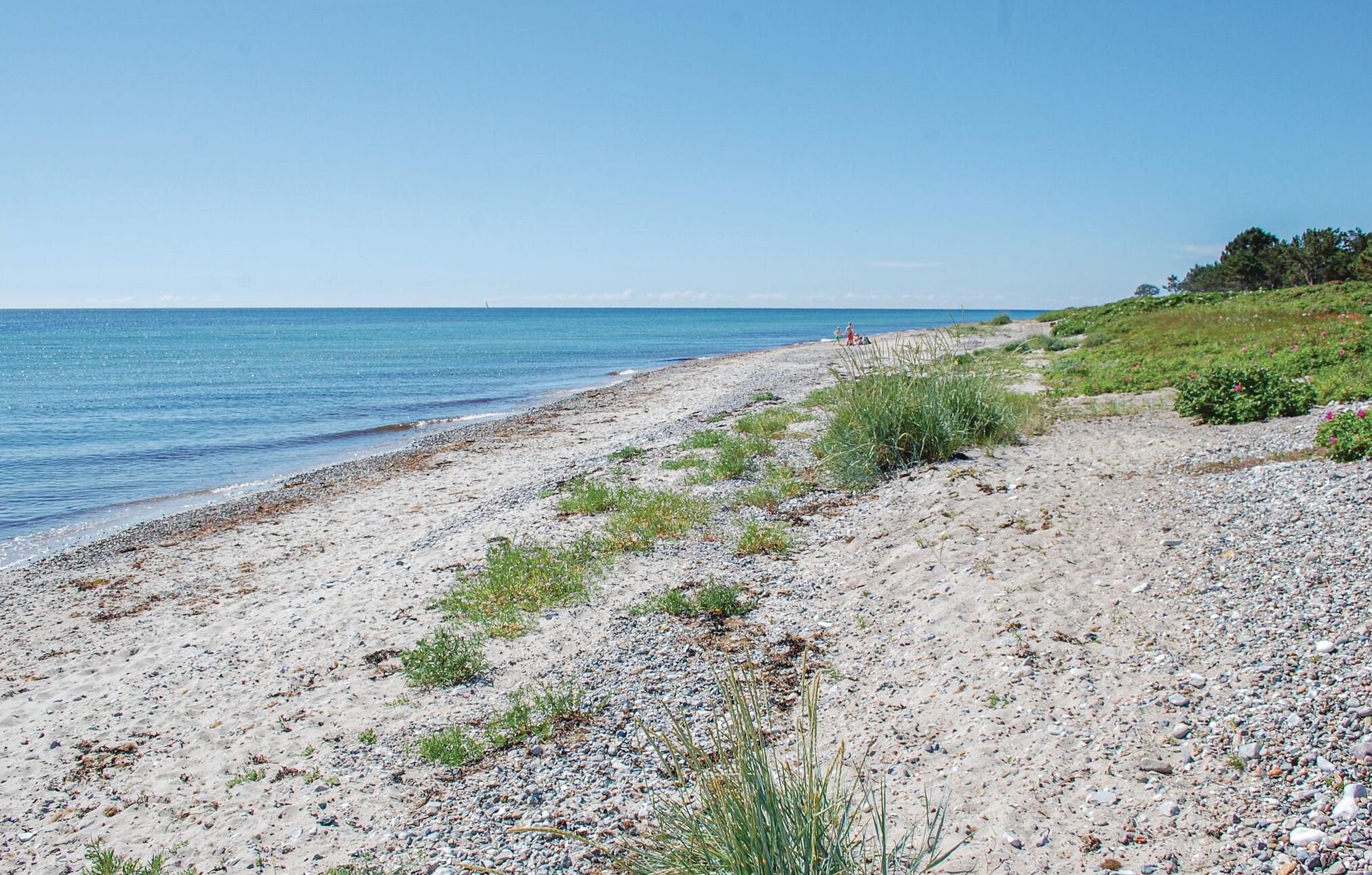 Beach nearby, fishing