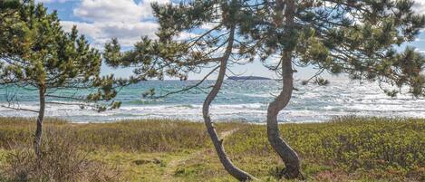 Nära stranden och fiske