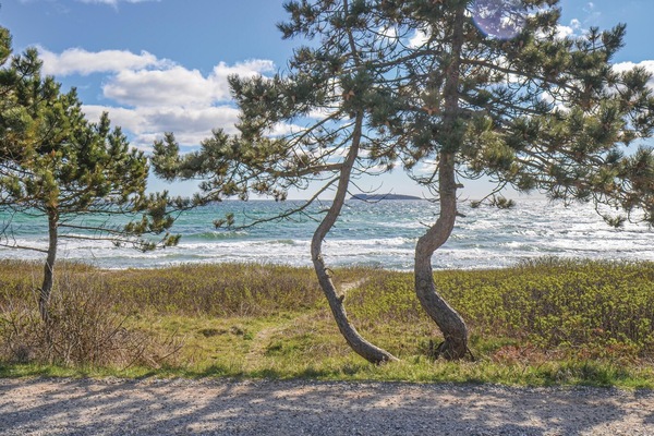 Beach nearby, fishing