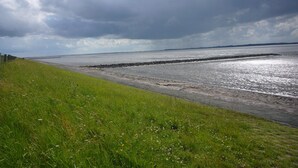 Un paisaje costero con una zona cubierta de hierba, un espigón rocoso y un mar tranquilo bajo un cielo nublado.