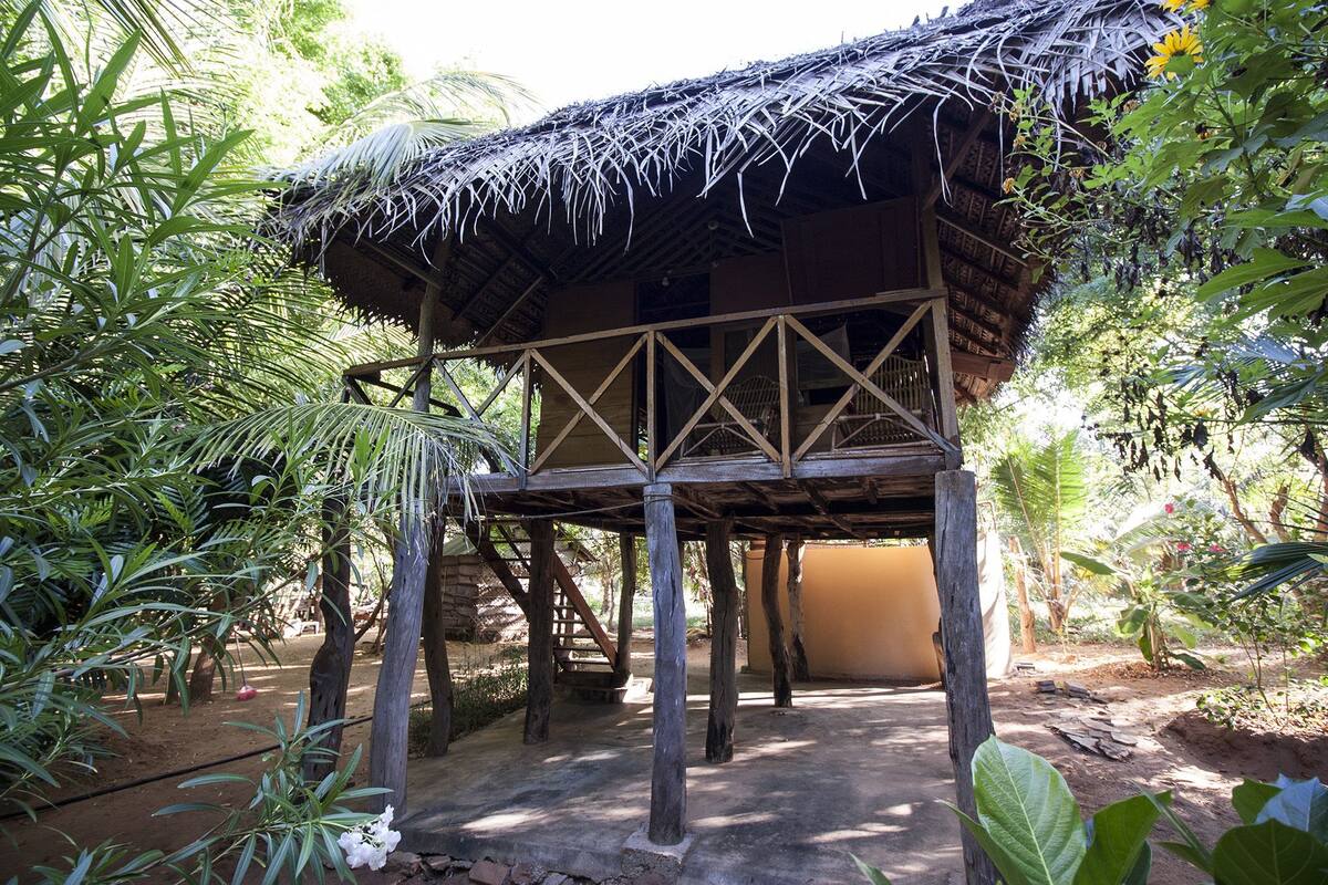 A wooden structure with a thatched roof, elevated on stilts, surrounded by dense foliage.