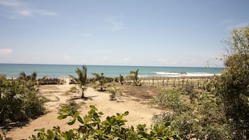 Panorama boomhut, uitzicht op oceaan, aan het strand | Een kluis op de kamer, beddengoed