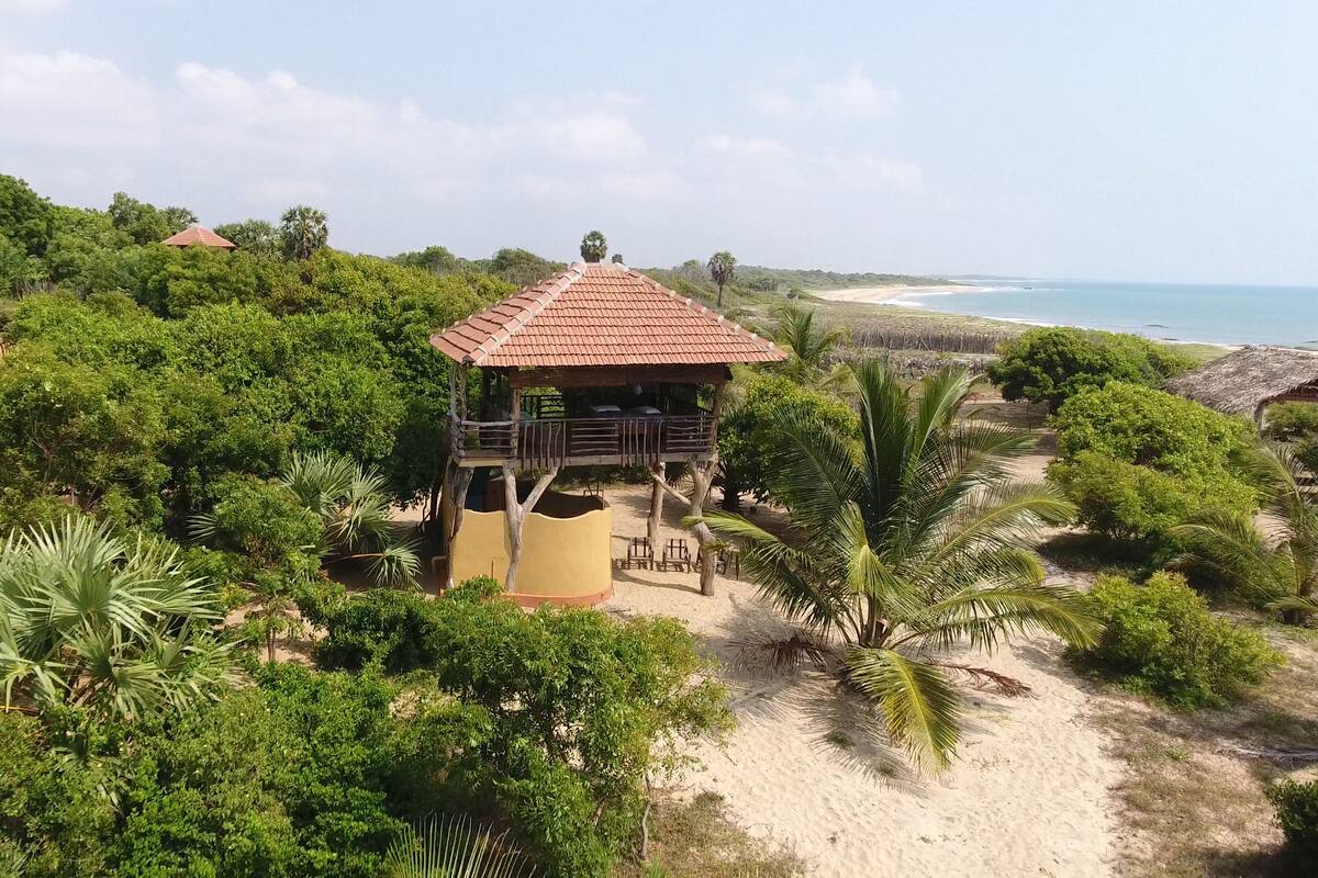 A treehouse with a red roof, surrounded by dense greenery and a sandy beach.