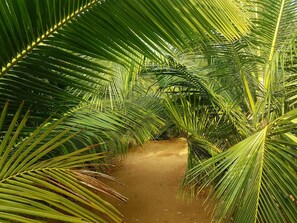 Property grounds - Hilltop Cabanas (Komari)