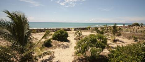 Casa na árvore panorâmico, vista para o oceano, de frente para a praia | Cofres nos quartos, roupa de cama