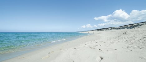 Ranta