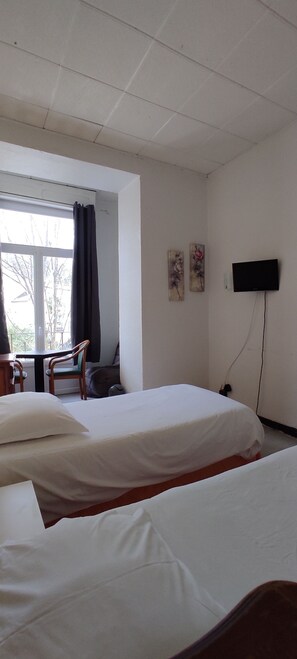 Twin Room | Desk, free WiFi - Hôtel Luxembourg (Lourdes)