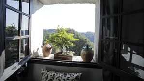 Janela com vista para uma árvore e dois vasos.
