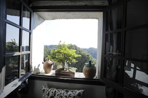 Una ventana con vista a un árbol y dos macetas.