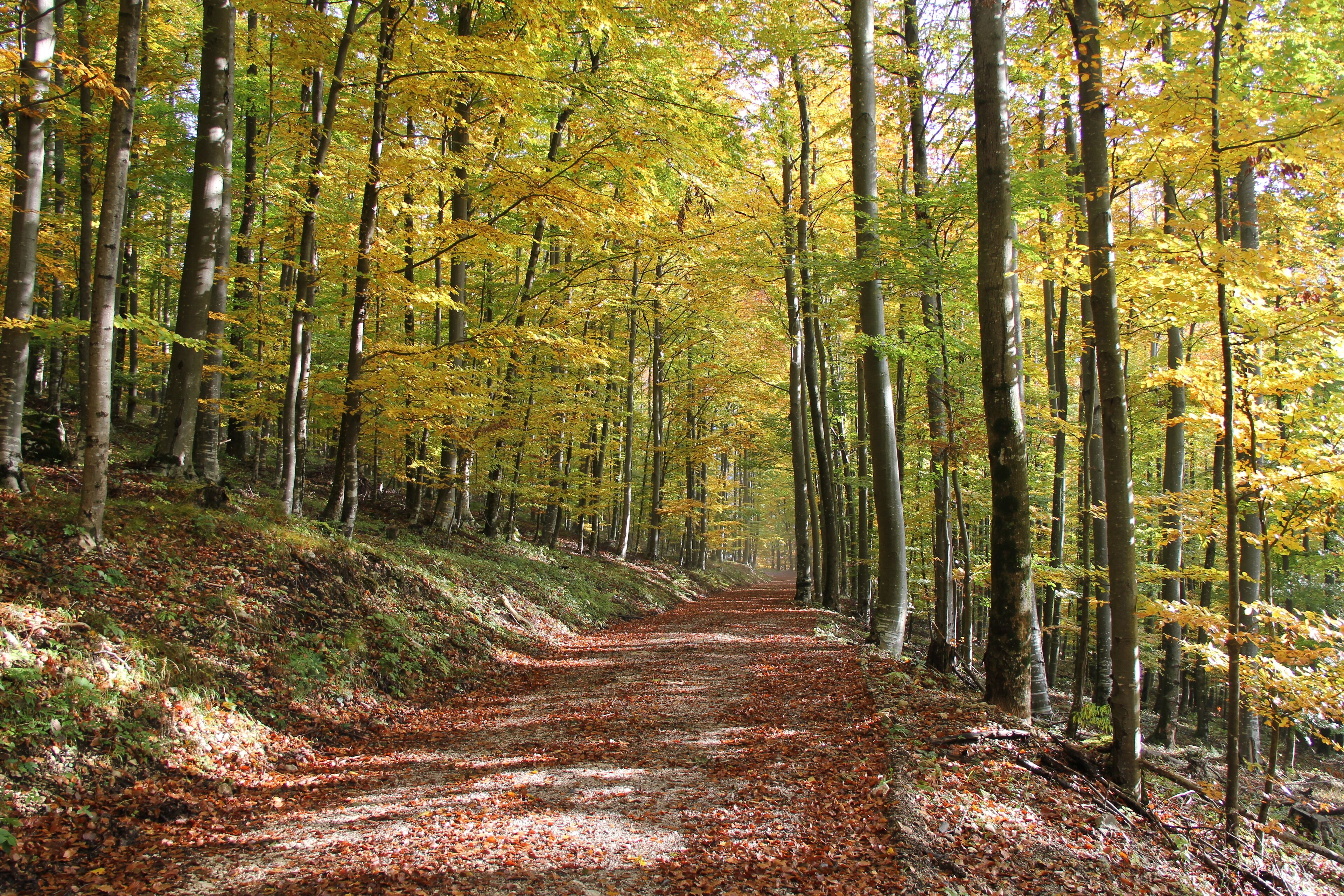 Foto - B&B Pod Skalo