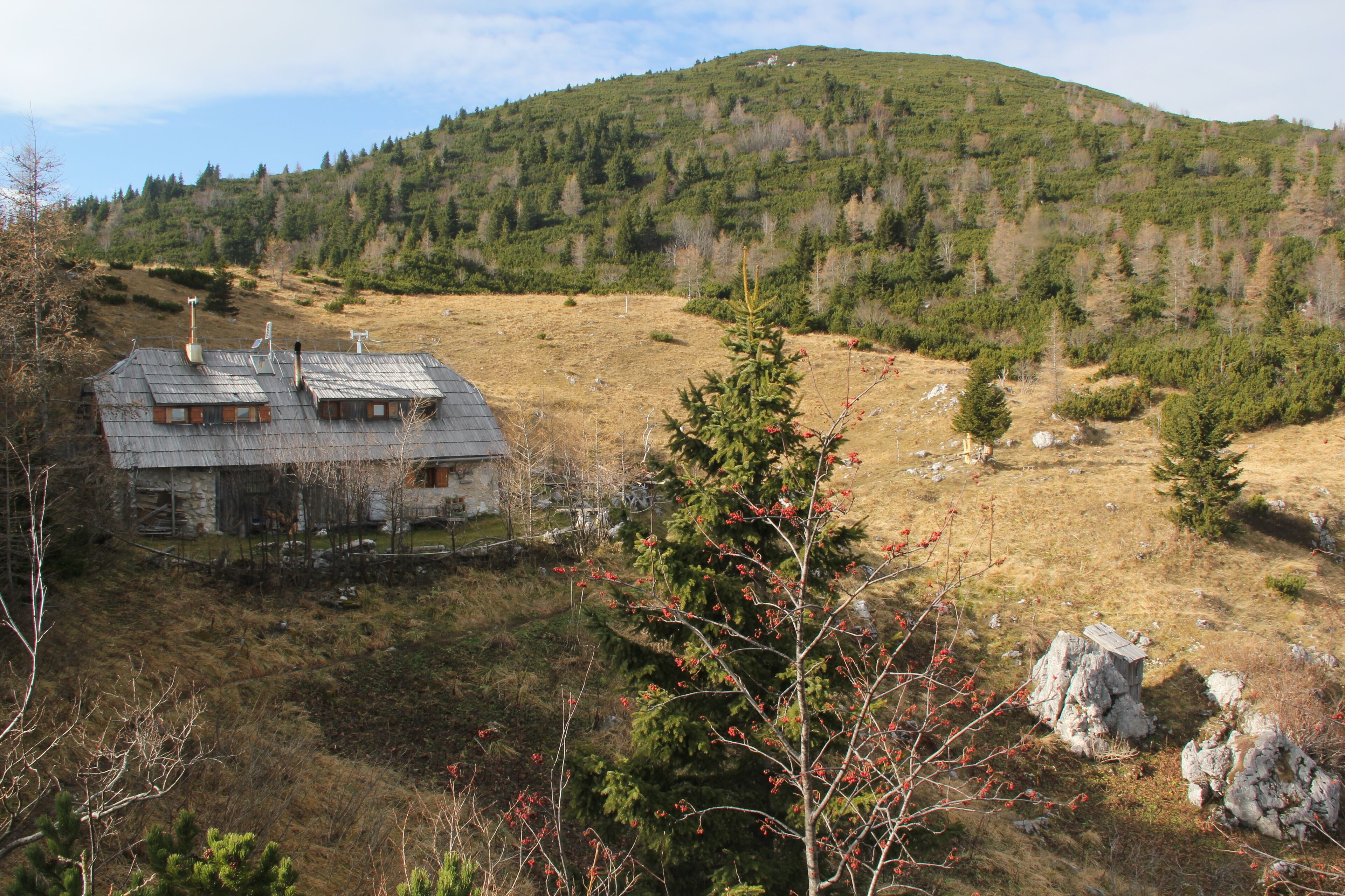 Foto - B&B Pod Skalo