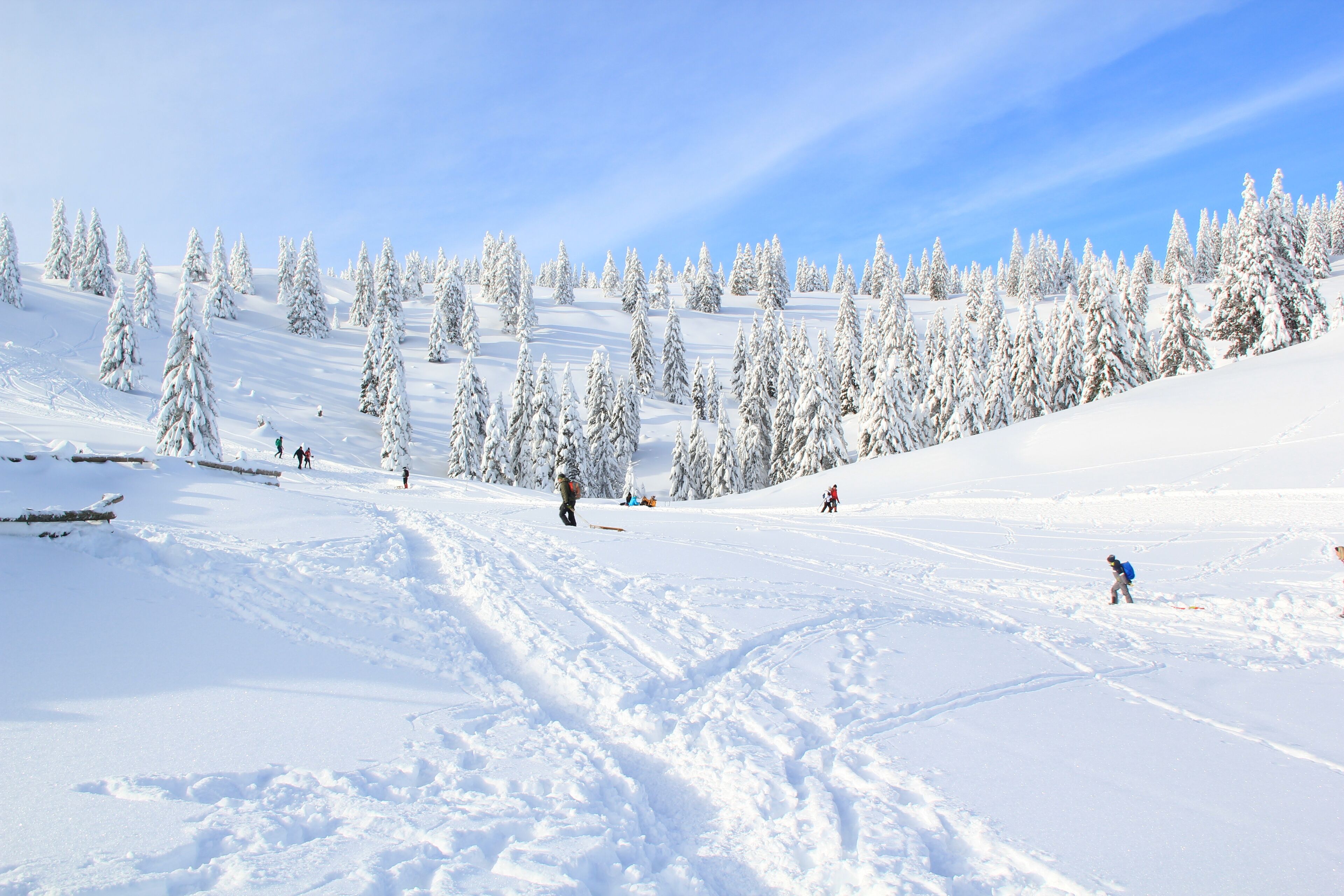 Foto - B&B Pod Skalo