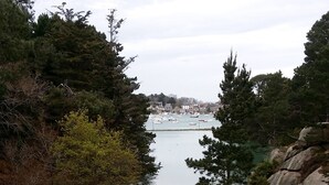 A natural landscape with a body of water, trees, and rocky terrain.