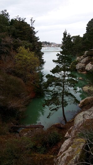 صورة غير مصنفة، 5 من 12، زرّ