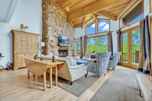 Télévision, cheminée, lecteur de DVD, médiathèque