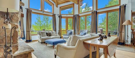 Télévision, cheminée, lecteur de DVD, médiathèque