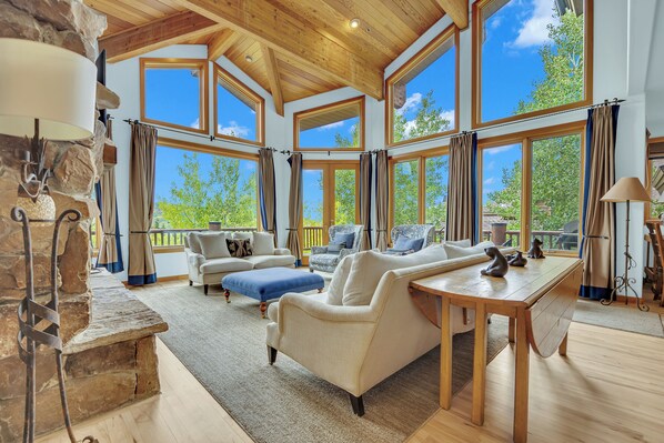 Télévision, cheminée, lecteur de DVD, médiathèque