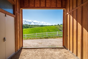 Interior - Tour de Rouge-A French Inspired Modern Farmhouse! Brand New Pool/Spa! (Paso Robles)