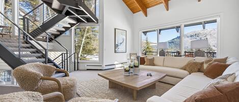 Télévision, cheminée, médiathèque