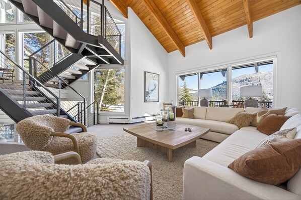 TV, fireplace, music library