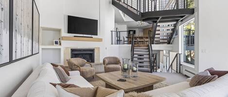 Télévision, cheminée, médiathèque