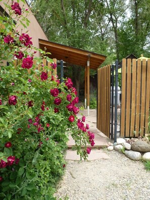 Property grounds - Bucking Mule Studio: Downtown Durango (Durango)