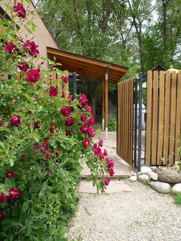 Um jardim com pérgola de madeira, caminho de cascalho e cerca de madeira.