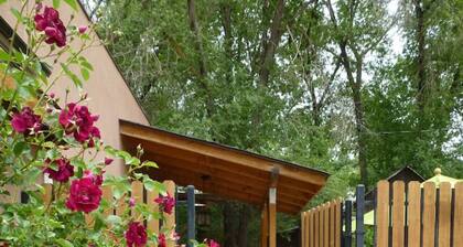 The Mule Studio: Downtown Durango