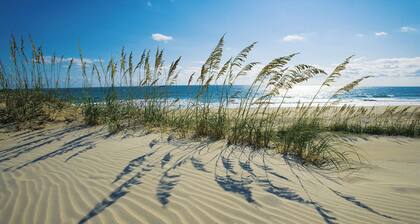 Verbringen Sie Familienzeit in Avon, Oceanview Home w / Pool, Whirlpool, Game RM, hundefreundlich