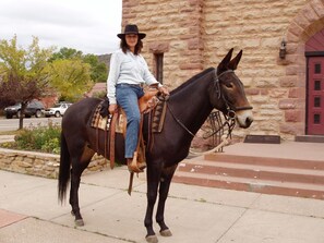 Uklassifisert bilde, 2 av 38, knapp